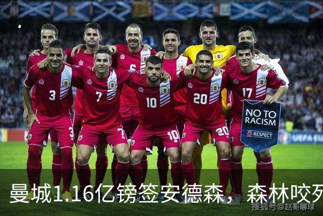 曼城1.16亿镑签安德森，森林咬死现金支付，创英球员转会纪录